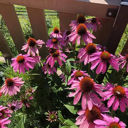 Apartamento Gschloessle Jerzens