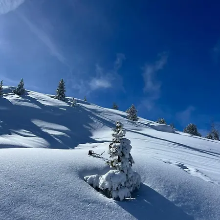 Gschloessle * Jerzens